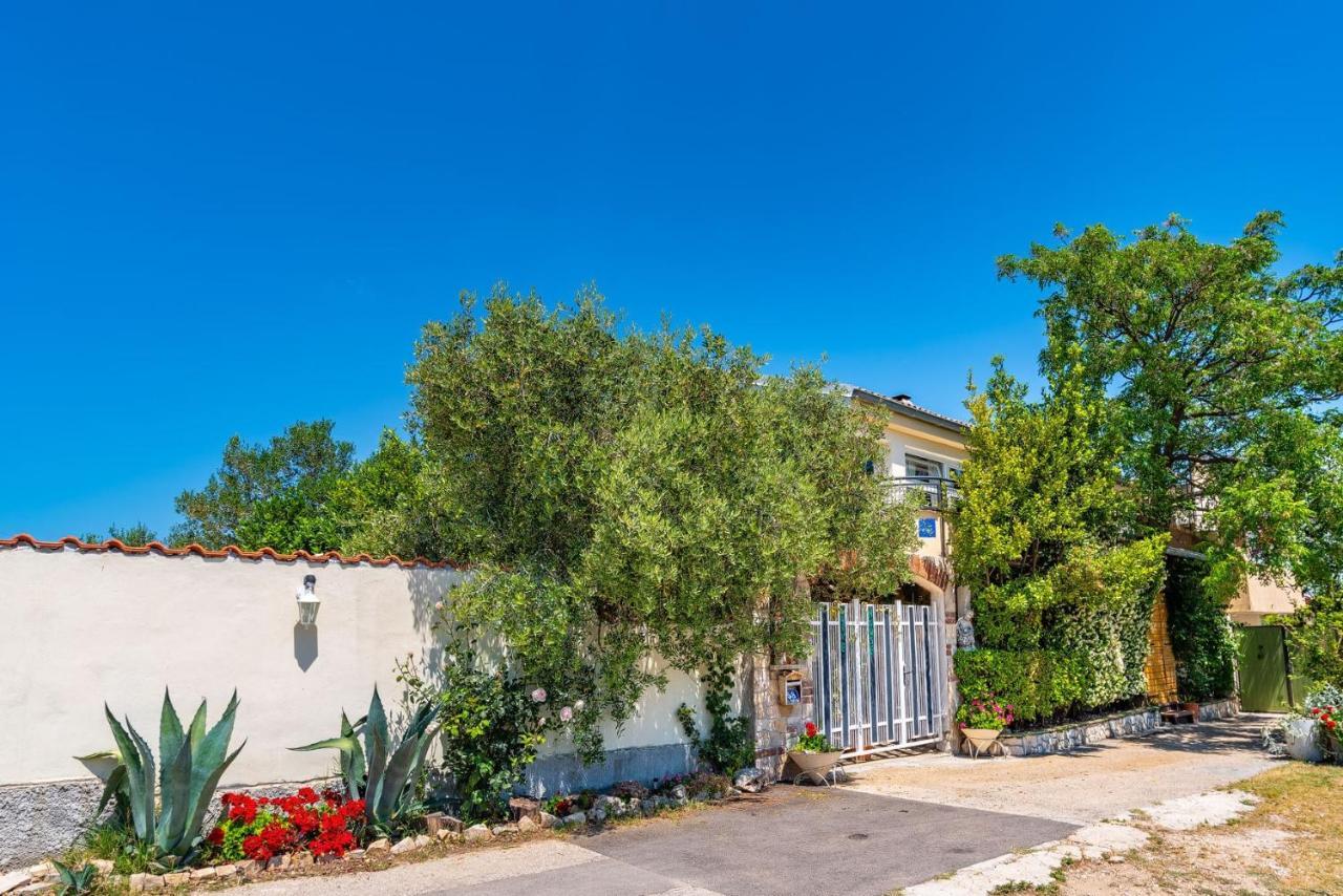 Holiday home Olive House Zadar